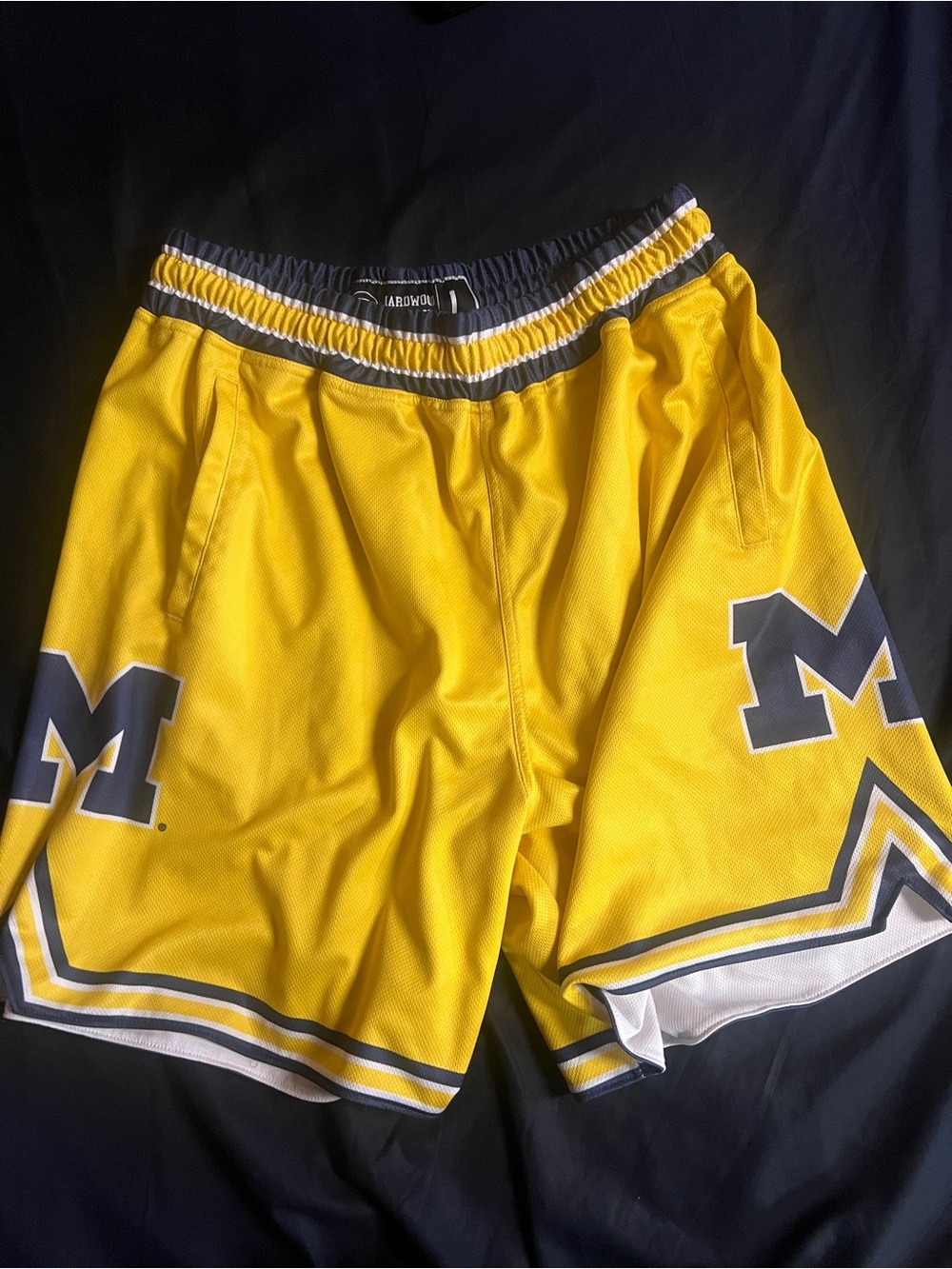 19NINE Michigan Wolverines Basketball Shorts Large